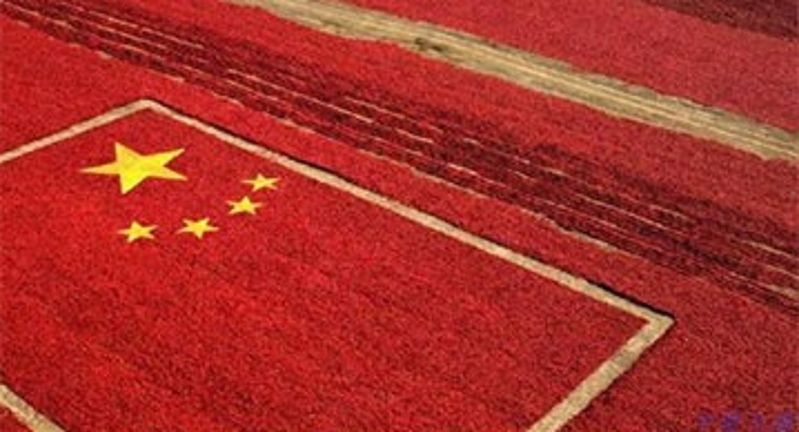 Feeling after reading 